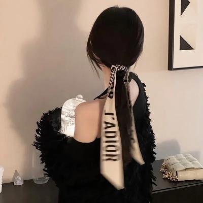 一只小蜘蛛