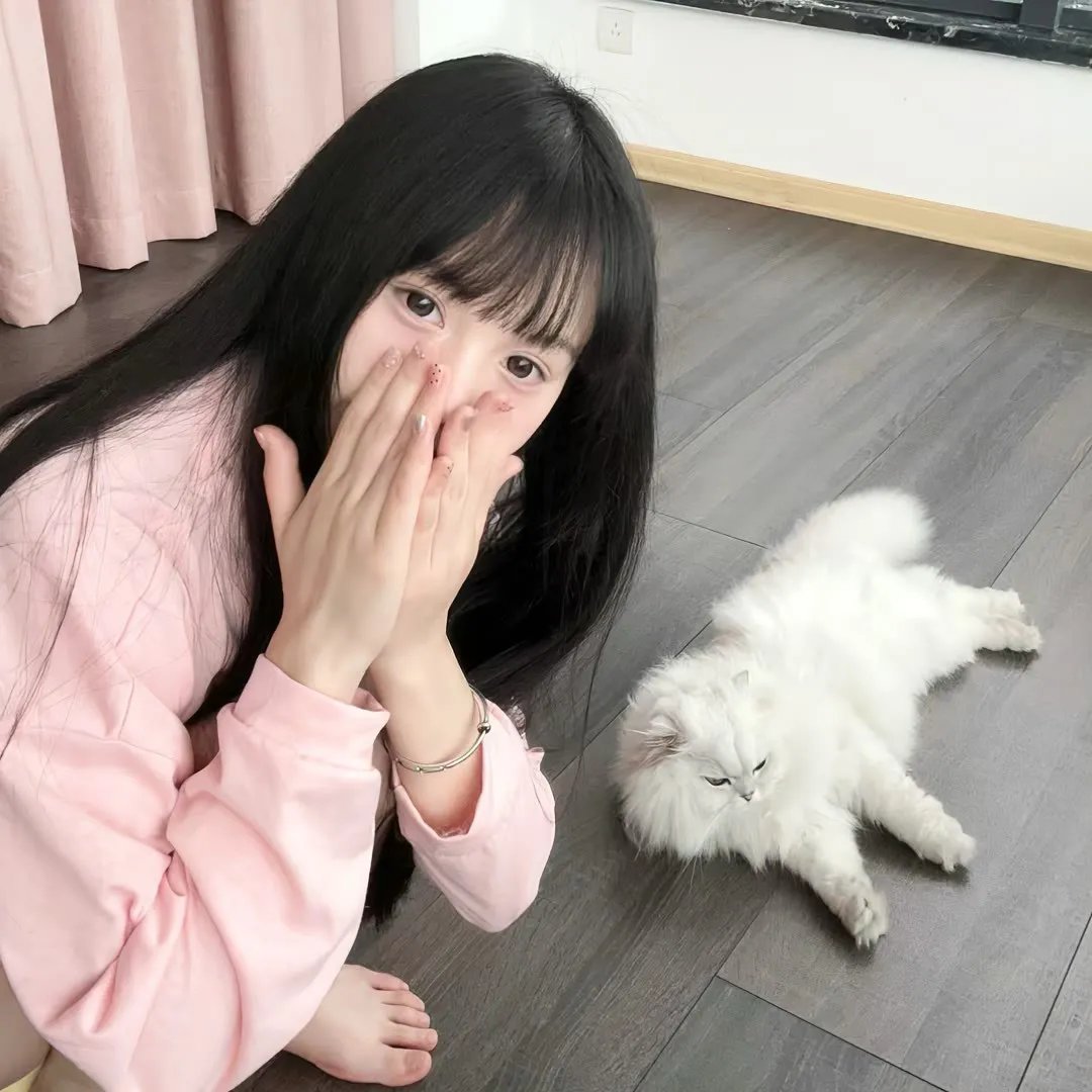 人生闹剧